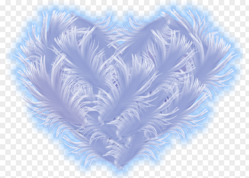 Feather Desktop Wallpaper Blue PNG