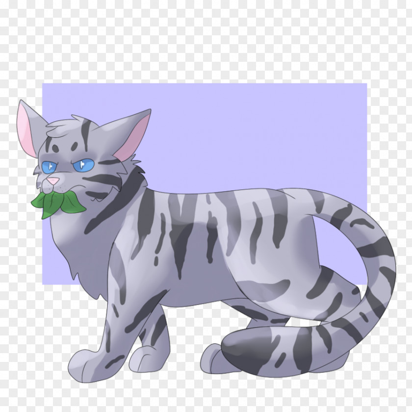 Kitten Whiskers Tabby Cat Dog PNG