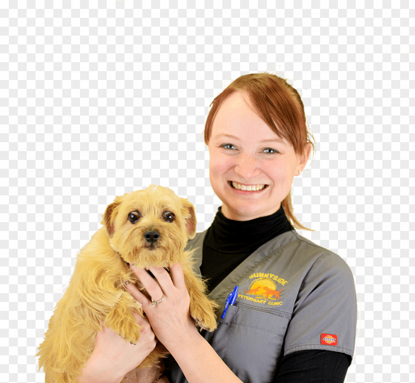 Puppy Dog Breed Norfolk Terrier Veterinarian Paraveterinary Worker PNG