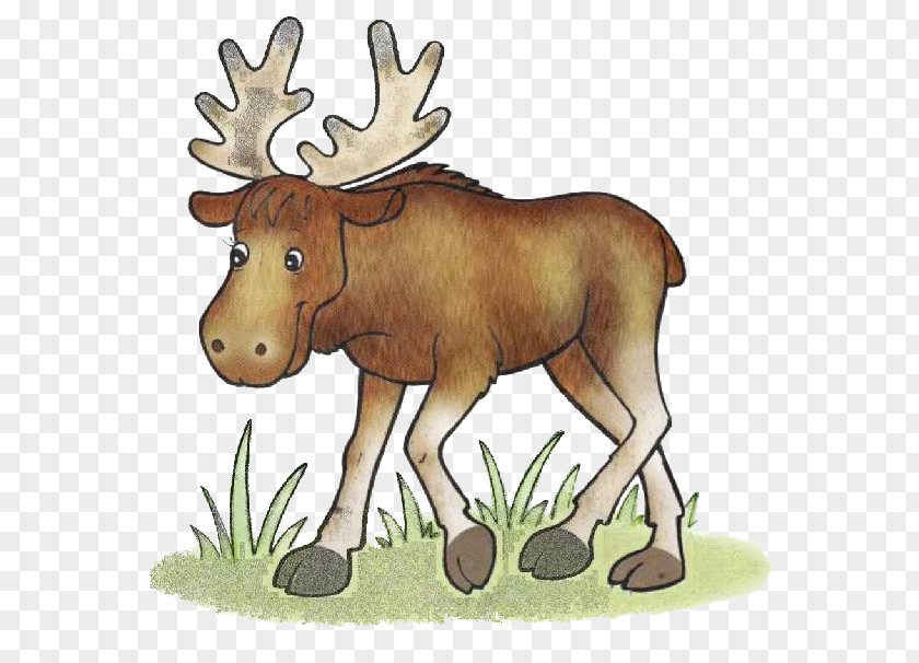 Reindeer Moose Forest Clip Art PNG