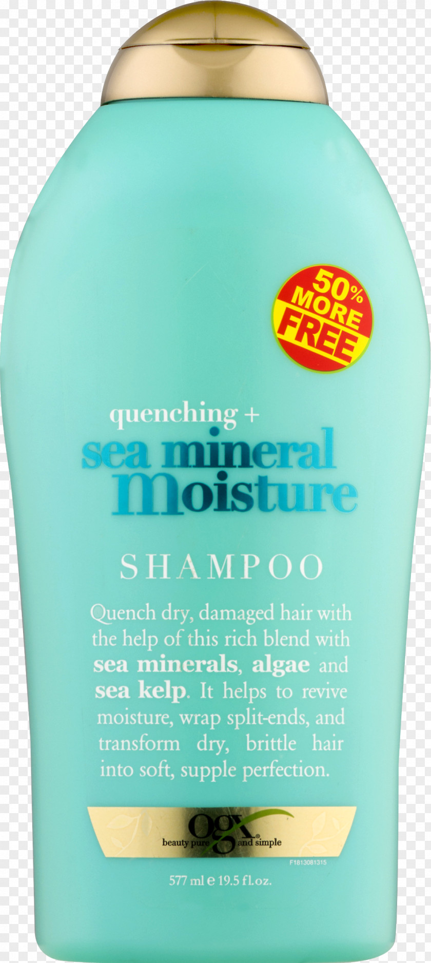 Shampoo Lotion Tea Tree Oil Hair Care Shower Gel PNG