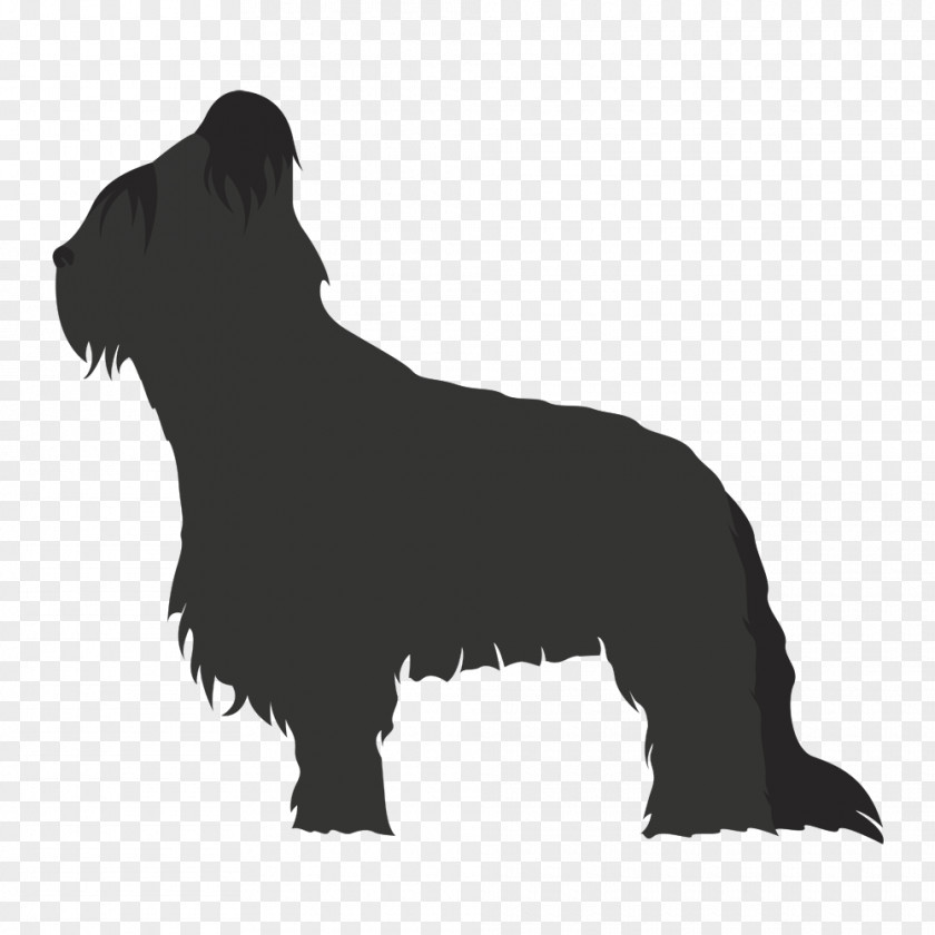 Airedale Terrier Scottish Non-sporting Group Briard Dog Breed (dog) PNG