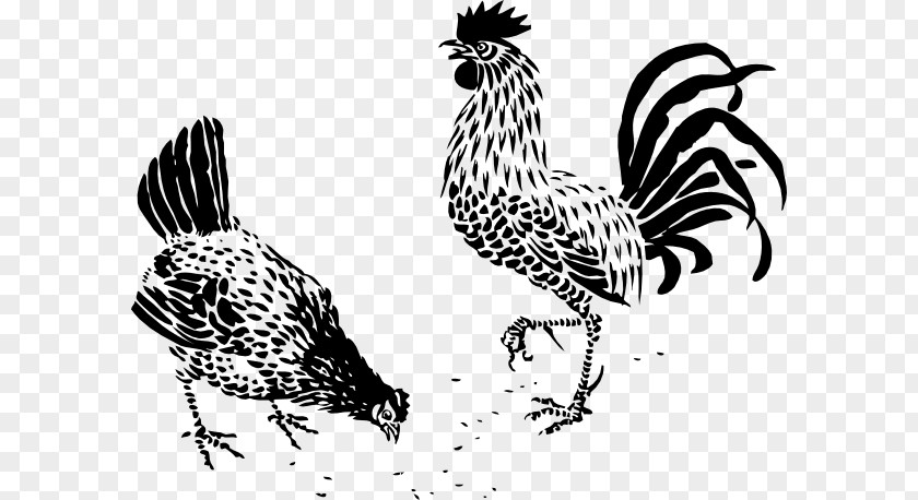 Chicken Stencil Dorking Rooster Drawing Poultry Galliformes PNG
