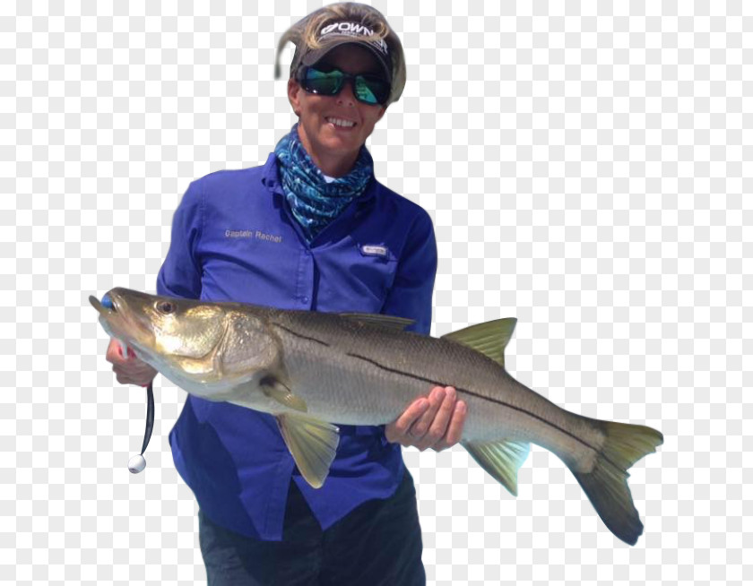 Fishing Captain Rachel Rods Marina Drive Fish Hook PNG