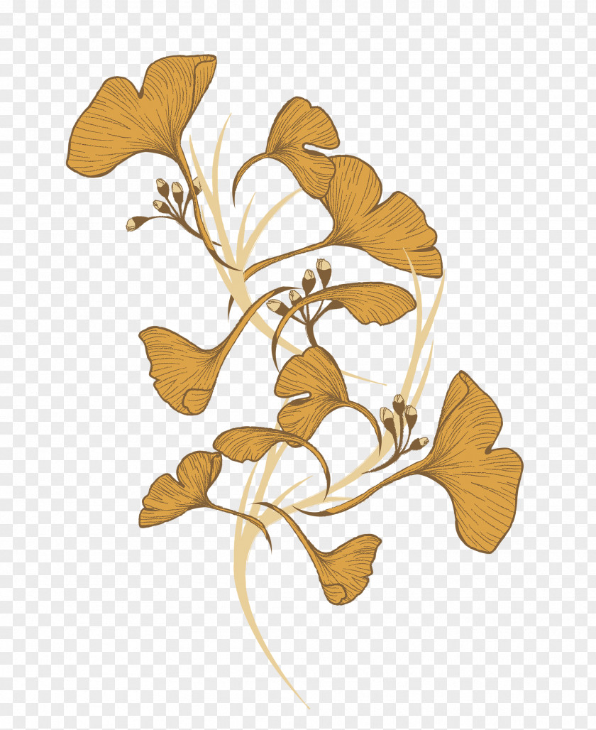 Illustration Floral Design Cut Flowers Graphic PNG