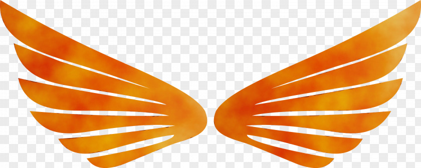 Orange PNG