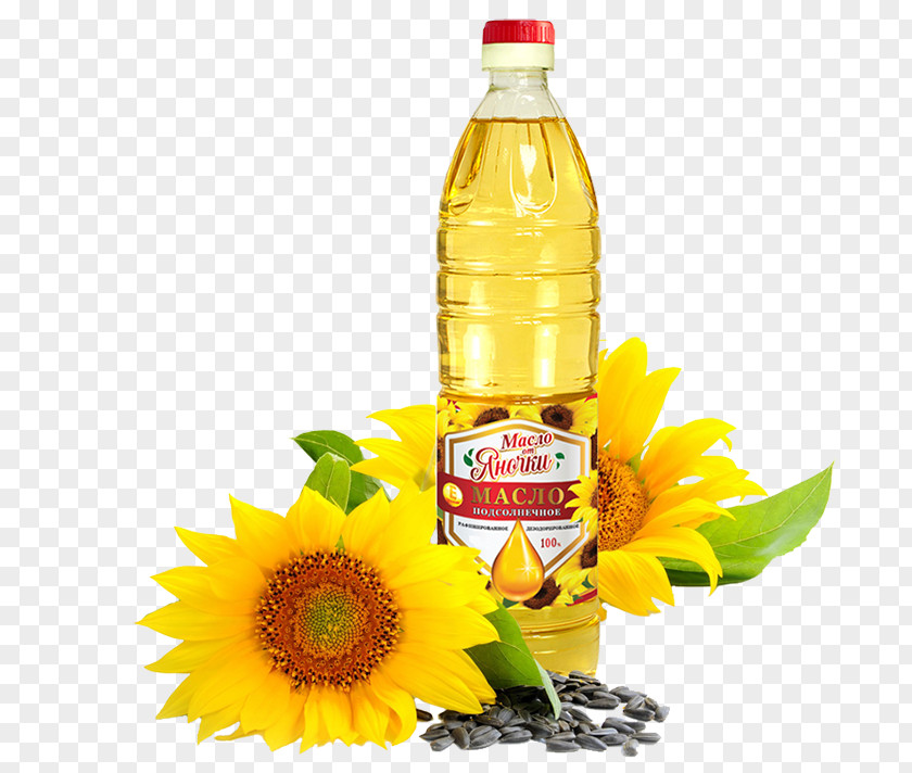 Sunflower Oil Common Seed Vegetable PNG