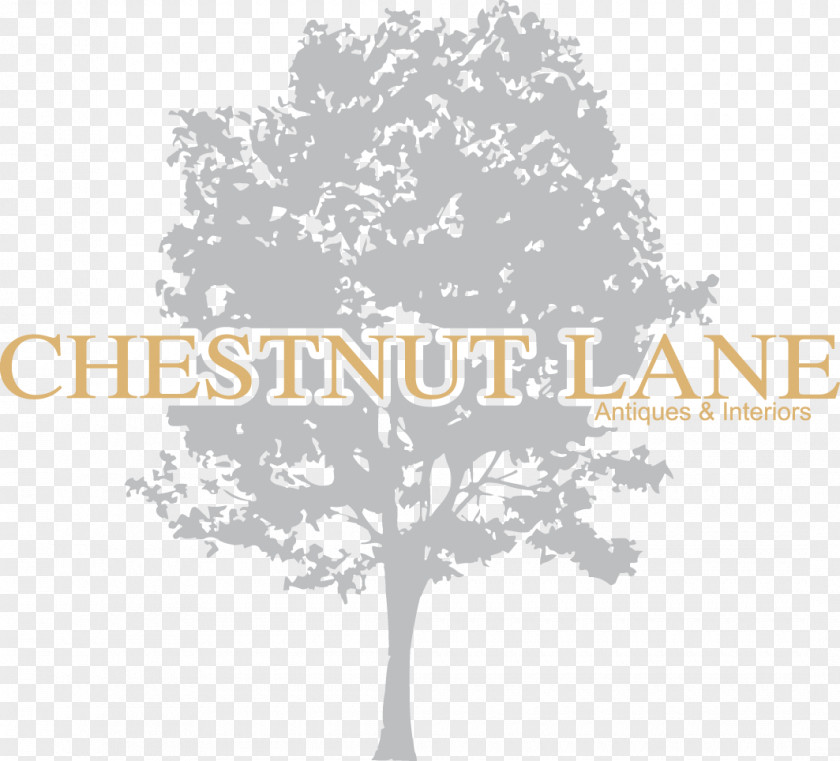 Antique Chestnut Lane Antiques & Interiors Furniture Interior Design Services PNG