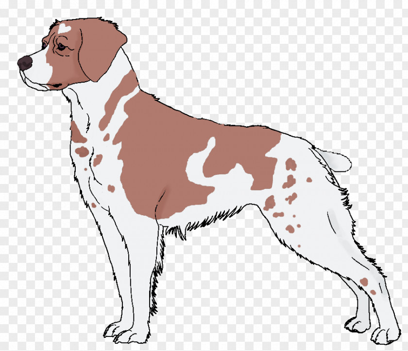 Dog Breed Companion Spaniel Clip Art PNG