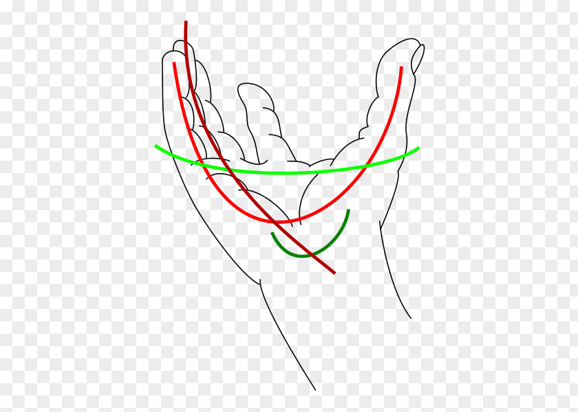Hand Structure Anatomy Neck Pain Joint Management PNG