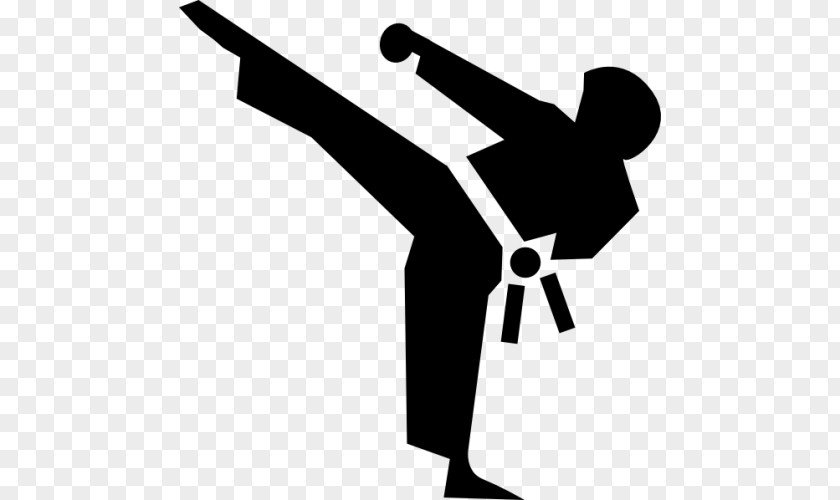 Lucinda Price Riverview Martial Arts & Fitness Karate Taekwondo Shotokan PNG