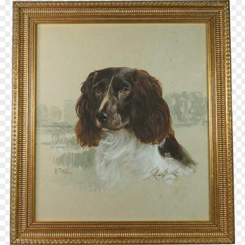 Painting Boykin Spaniel Field Irish Setter English Springer Sussex PNG