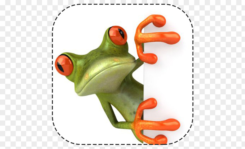 Paper Frog Animated Film Desktop Wallpaper Stock Photography Clip Art PNG