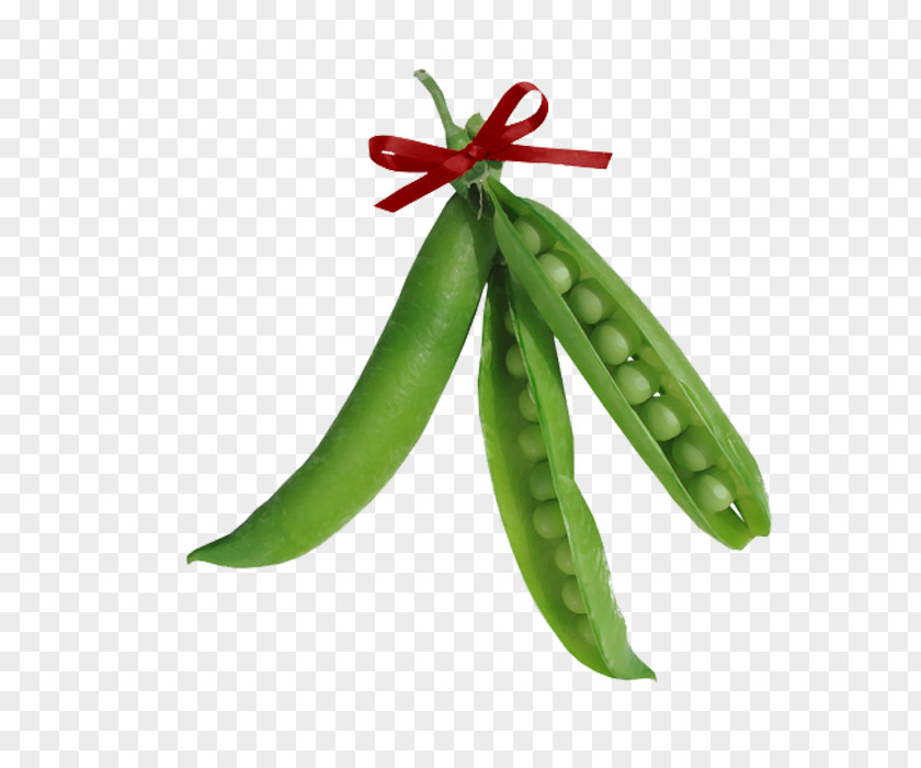 Pea Euclidean Vector Vegetable PNG