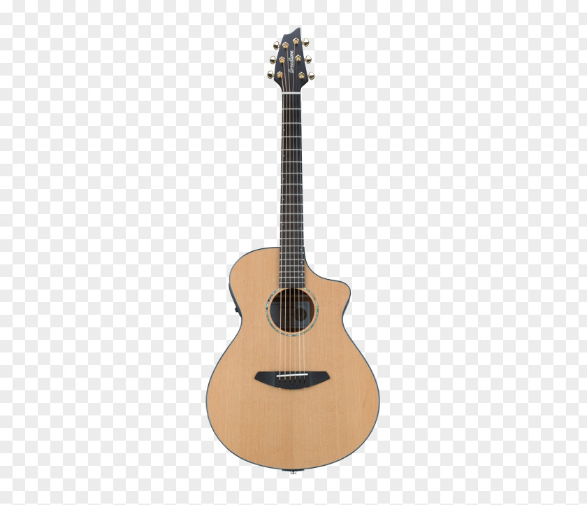 Acoustic Concert Acoustic-electric Guitar Steel-string Dreadnought PNG