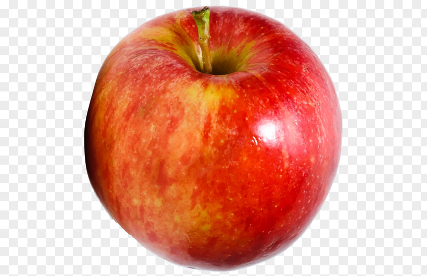 Apple Food Accessory Fruit PNG