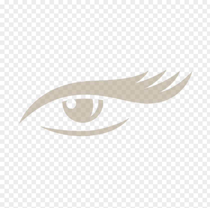 Eyelash Extension Art Of Beauty Center Extensions Hair PNG