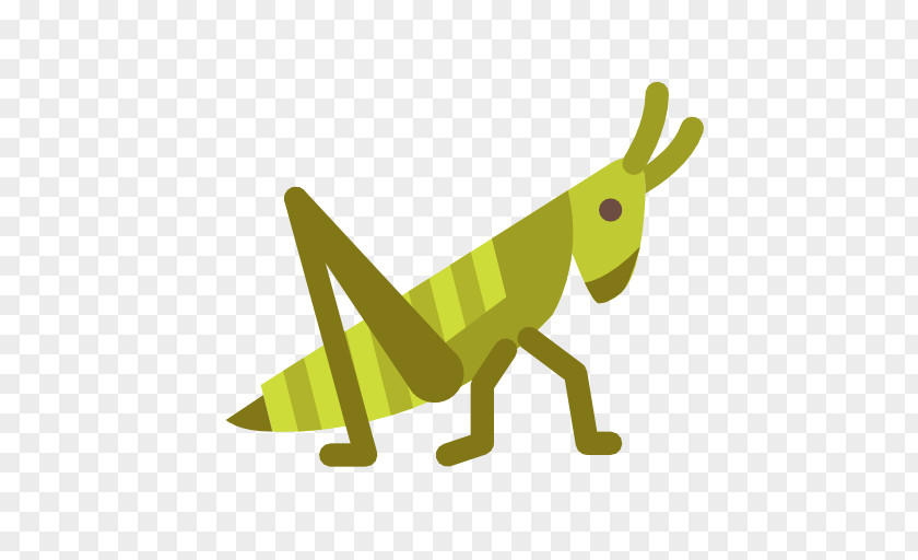 Grasshopper Clip Art PNG