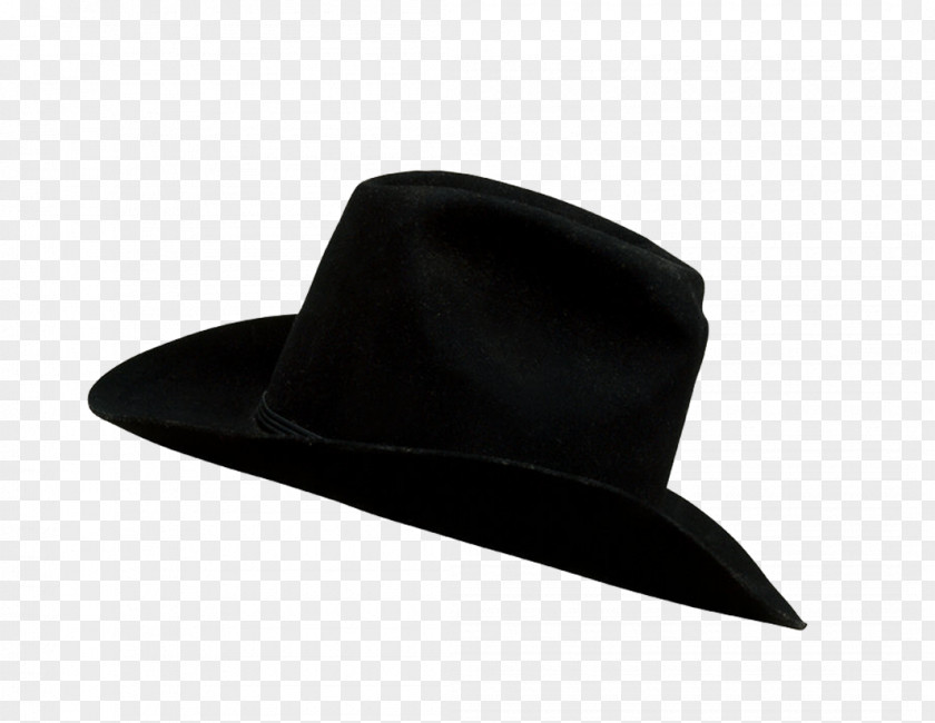 Hat Silhouette Fedora PNG