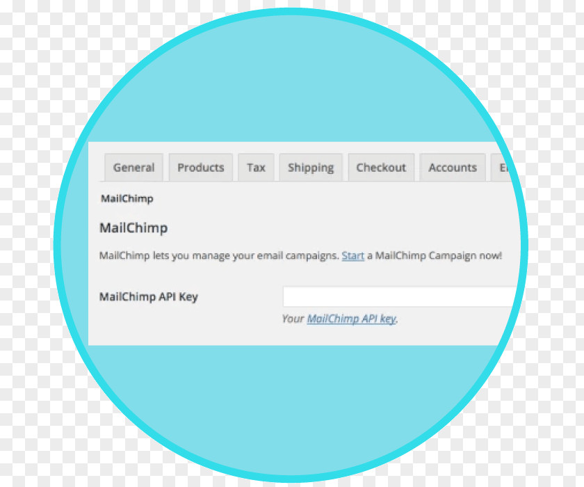 Mailchimp Web Analytics Download Computer Document Calendar PNG