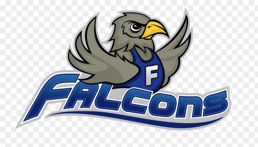 Falcon Heavy Logo Brand Font Elementary School PNG