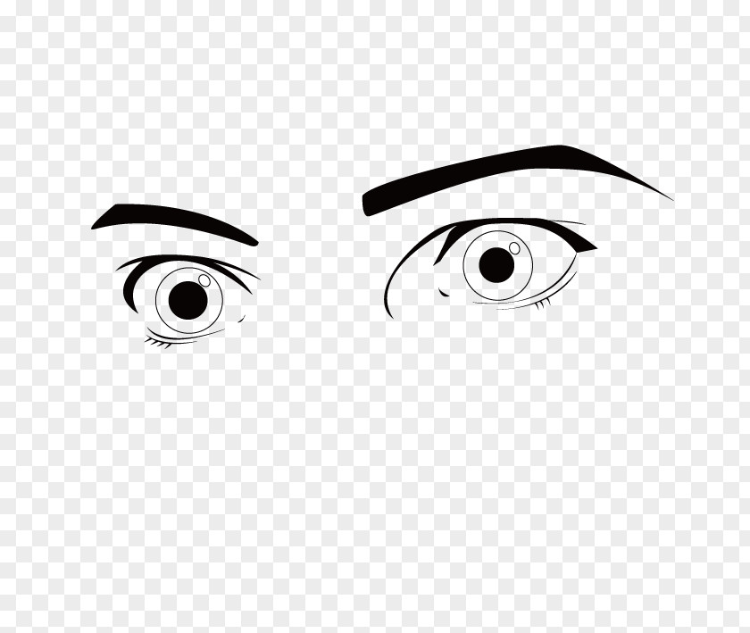 Light Pupil,Fly Disdain,Amazing And Sharp Human Eye Pupil Clip Art PNG