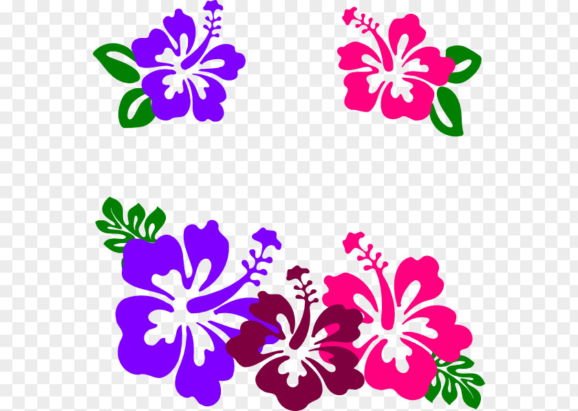 Angela Pattern Clip Art Shoeblackplant Hawaiian Hibiscus Free Content PNG