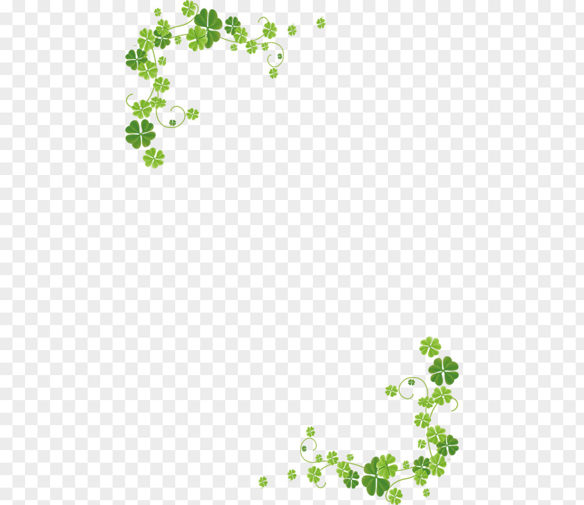 Clover Four-leaf PNG