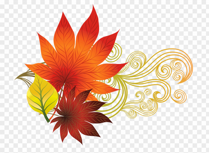 Fall Leaves Decoration Clipart Picture Autumn Leaf Color Clip Art PNG
