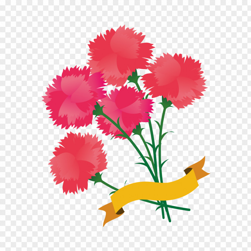Flower Bouquet Carnation May Photography PNG