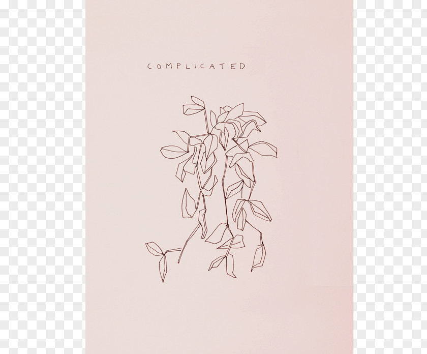 Flower Sketch Paper Illustration Figure Drawing Visual Arts PNG