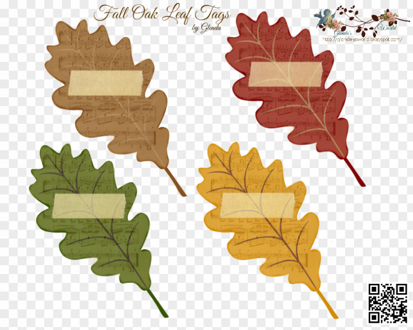 Holly Flower Autumn Tree Branch PNG