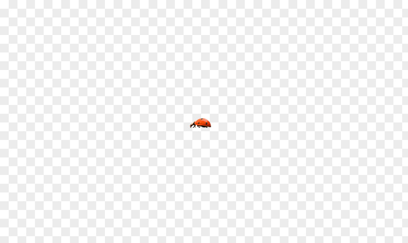 Insect Download Search Engine Directory Icon PNG