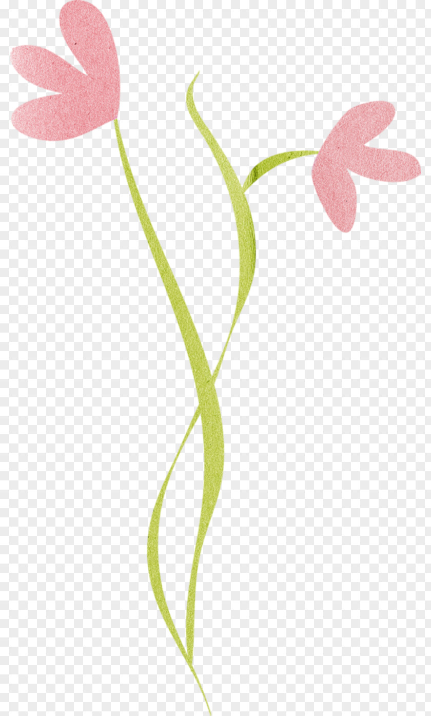 Log Texture Petal Leaf Plant Stem Flowering Branching PNG