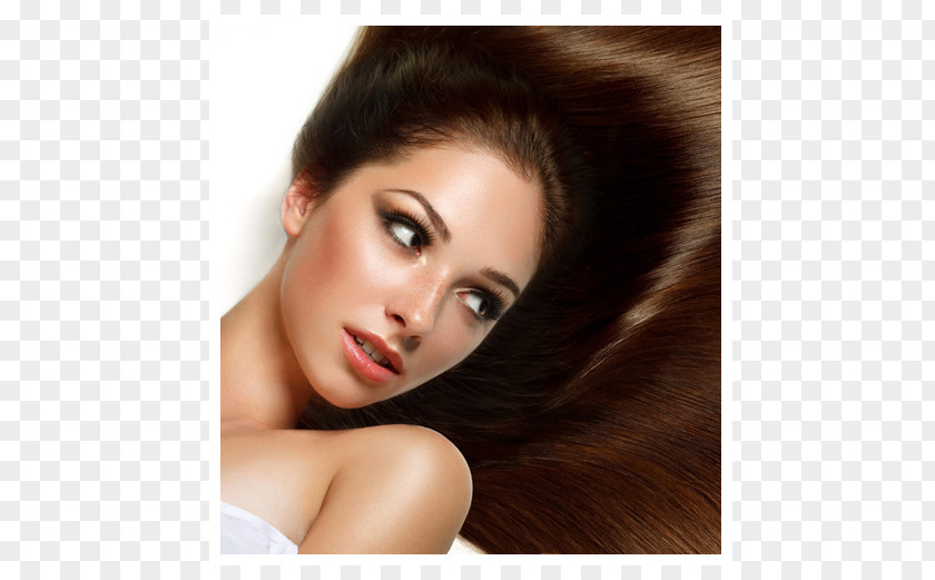 Beauty Parlour Certificate Long Hair Brown Cosmetologist PNG