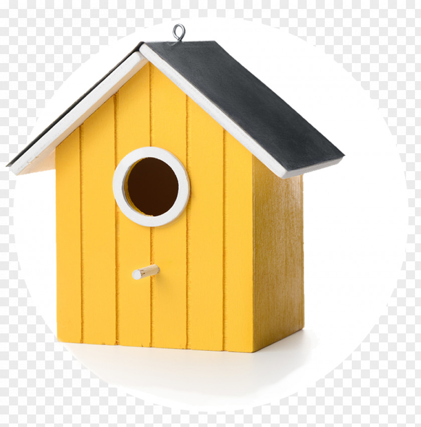 Bird Nest Box Stock Photography PNG