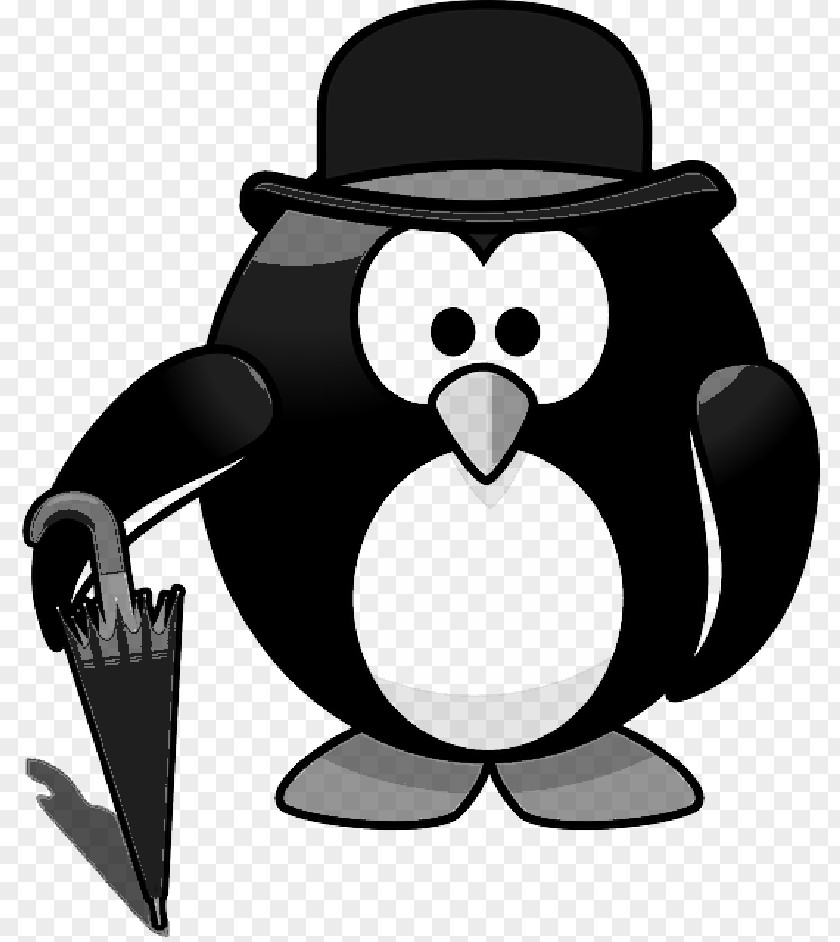 Blackandwhite Tuxedo Penguin Cartoon PNG