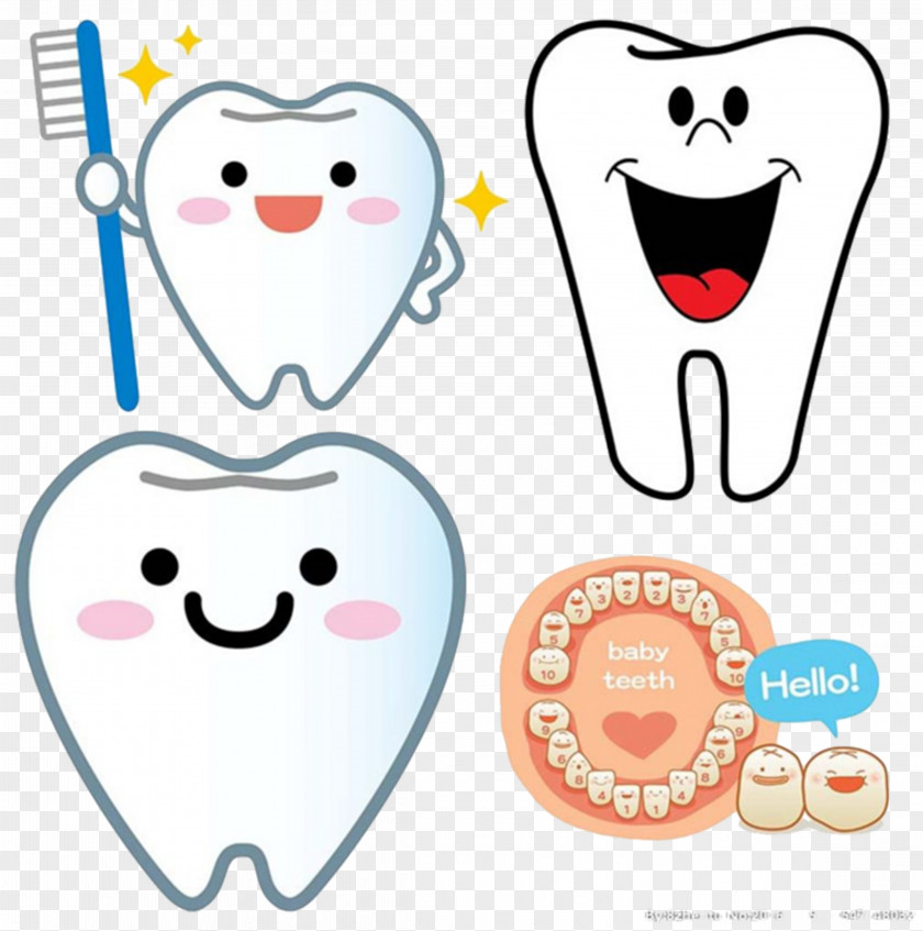 Happy Material Free Download Deciduous Teeth Permanent Dentistry Tooth Eruption Child PNG