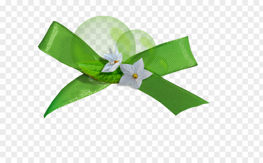 Leaf Petal Ribbon PNG