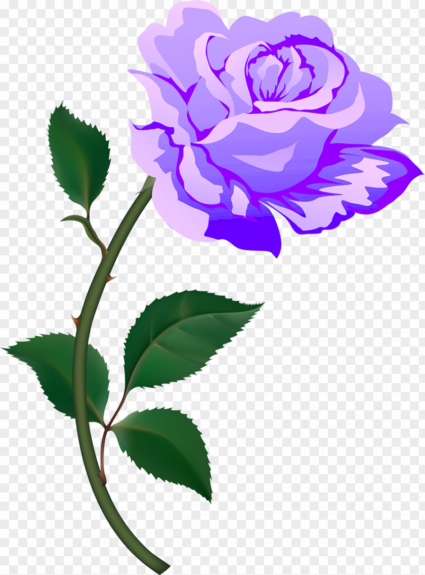 Lilac Rose Free Pink Clip Art PNG