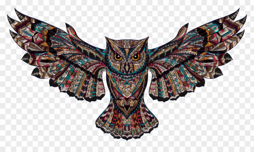 Owl Image Clip Art PNG