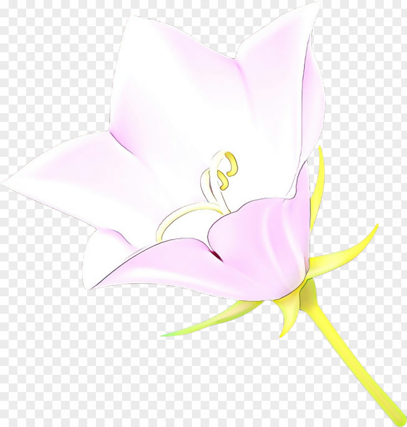 Pedicel Flowering Plant White Pink Flower Clip Art PNG