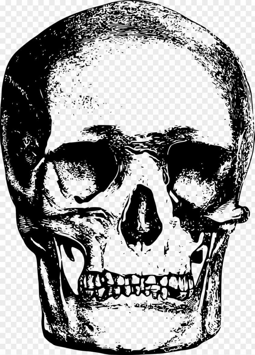 Skulls YouTube Skull Skeleton PNG