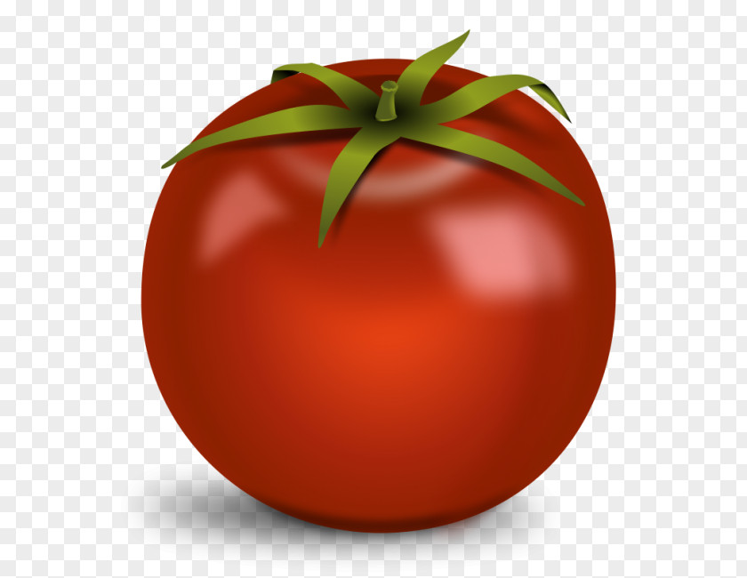 Tomato Clip Art Free Cherry Vegetable PNG