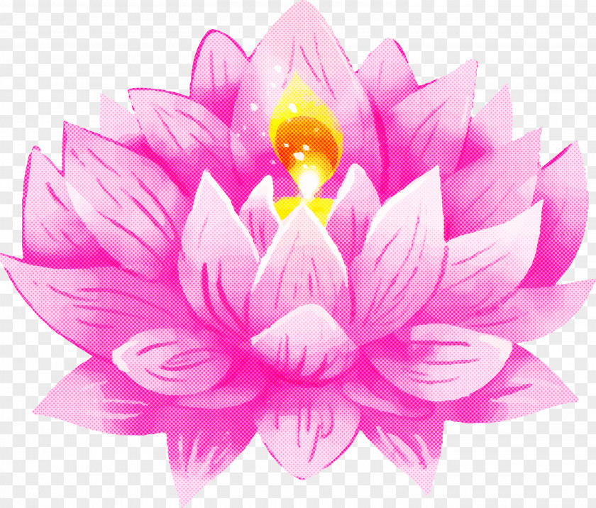 Bodhi Lotus PNG