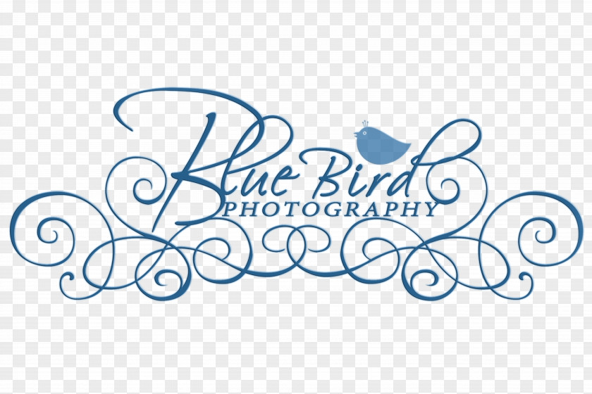 Design Photography IStock Art PNG