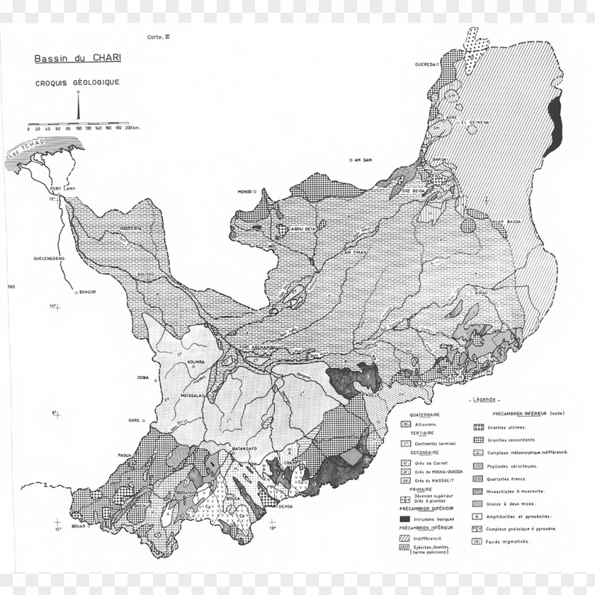 Tree Map PNG