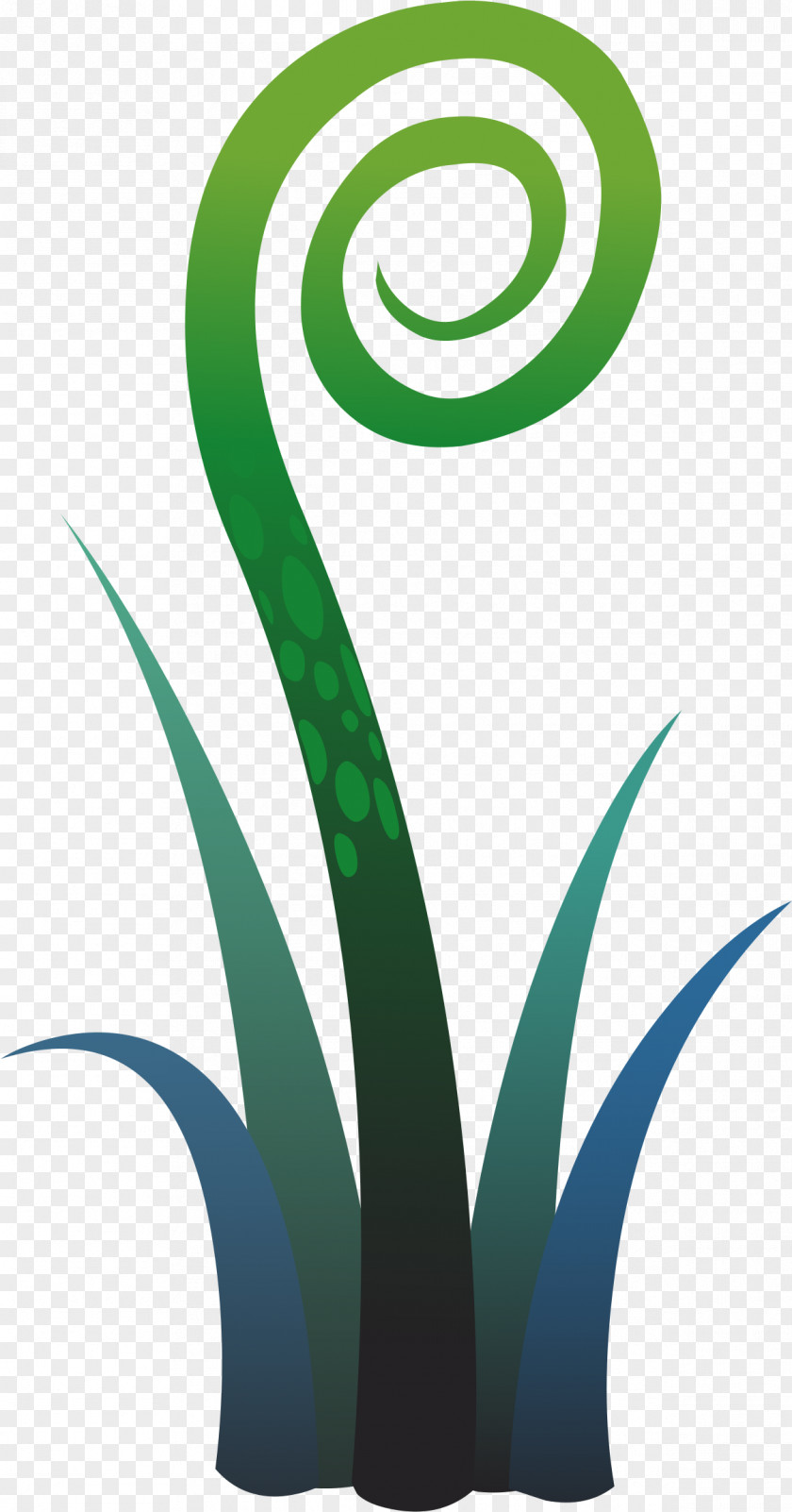 Agave Psd Files Tree Fern Plants Vascular Plant Clip Art PNG