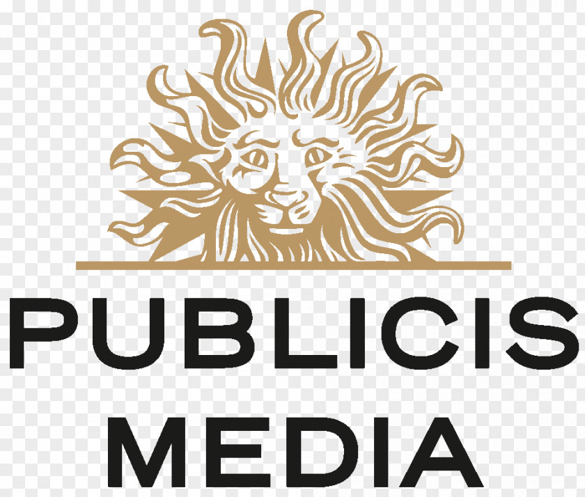Business Publicis Groupe Media Healthcare Communications Group Chief Executive PNG