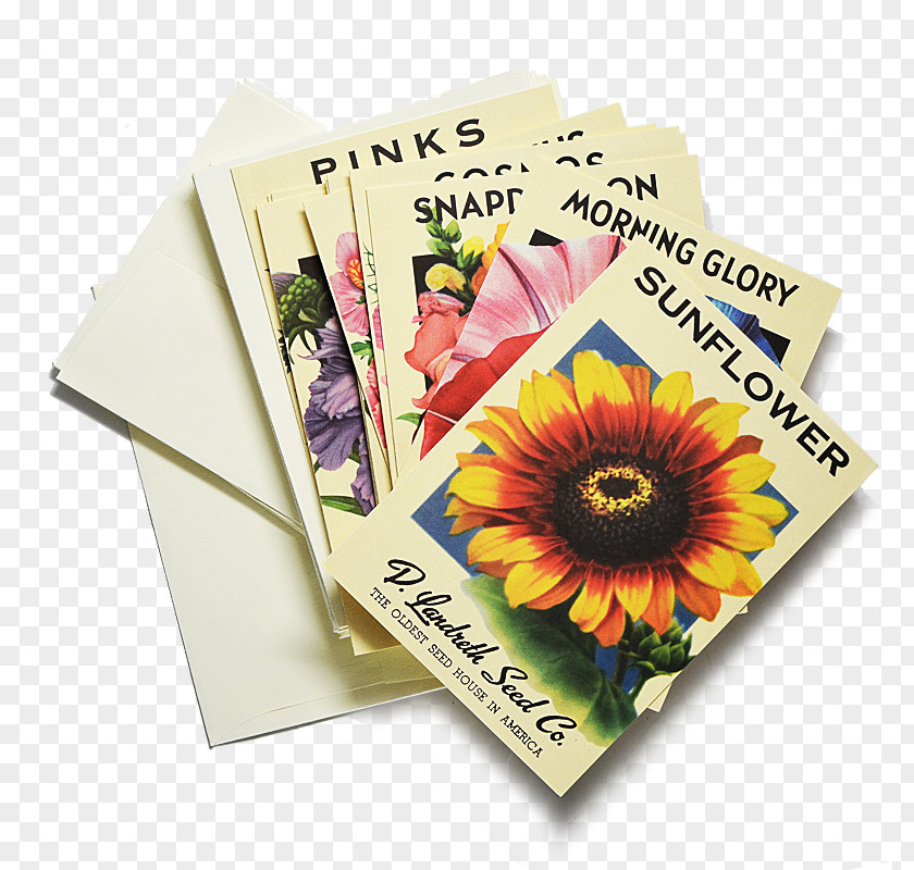 Plants Paper Heirloom Plant Seed Flower PNG